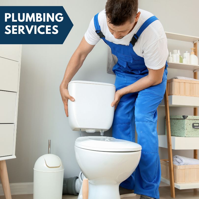 Plumbing Company in Alston, GA